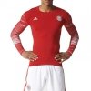 ADIDAS TECHFIT FC BAYERN MONACHIUM LONG SLEEVE AY8675 ADIDAS TECHFIT FC BAYERN MONACHIUM LONG SLEEVE AY8675